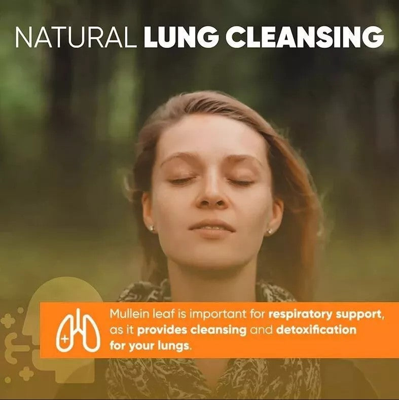 Mullein Leaf Extract Drops 60ml