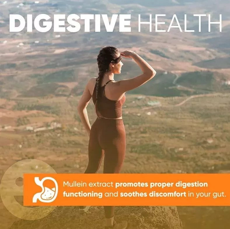 Mullein Leaf Extract Drops 60ml