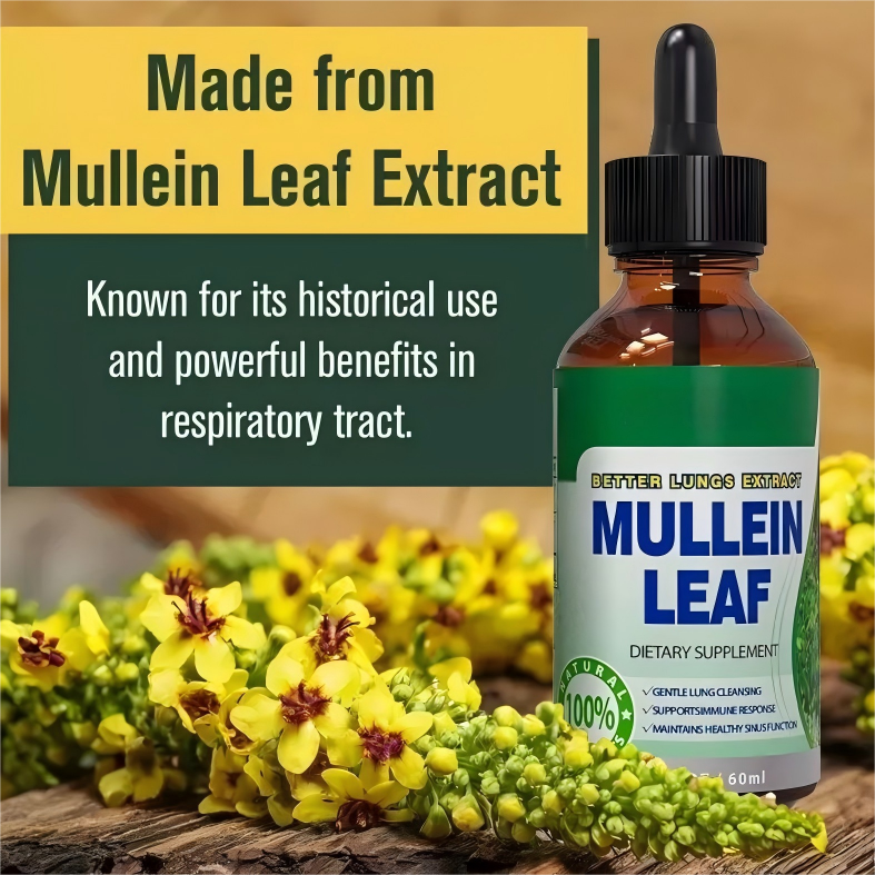Mullein Leaf Extract Drops 60ml