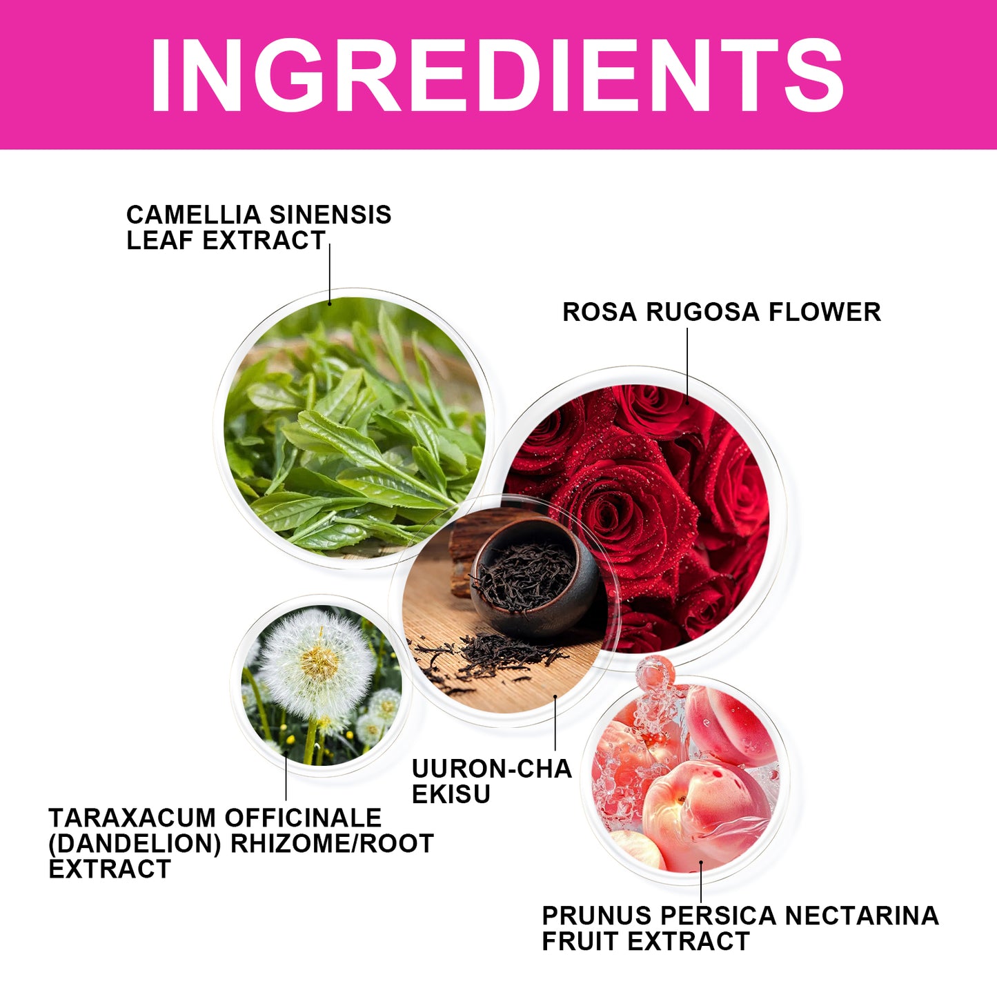 Green Tea For Women