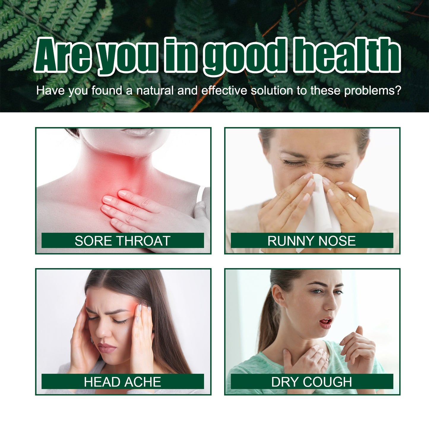 Herbal repair spray