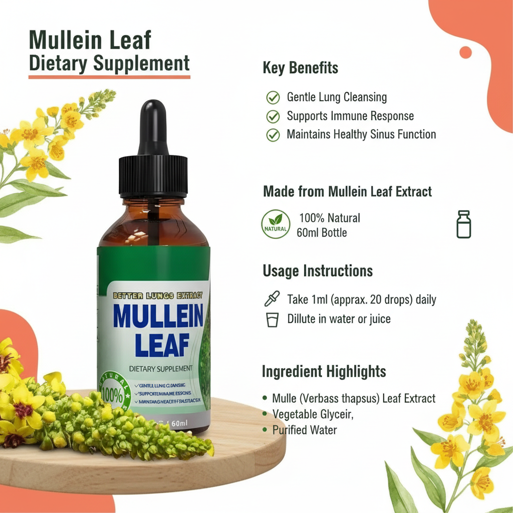 Mullein Leaf Product Detail Infographic